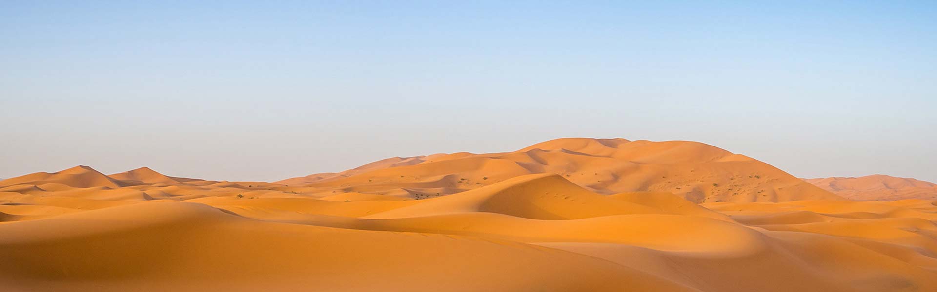 Travel Requirements Blog