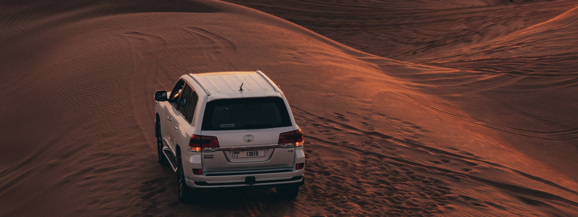 Evening Desert Safari
