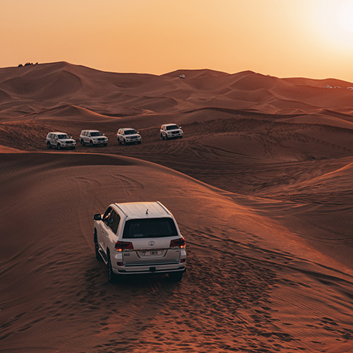 Evening Desert Safari
