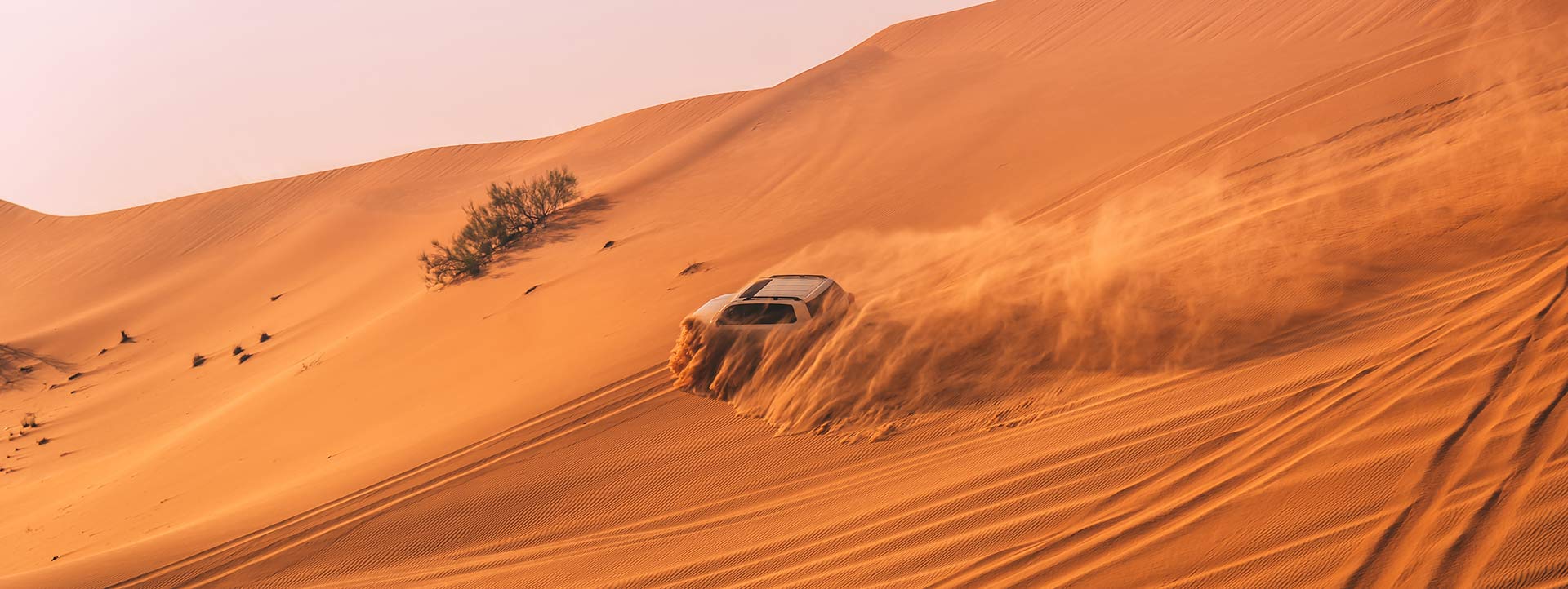 Desert safari in Dubai | Hummer Desert Safari