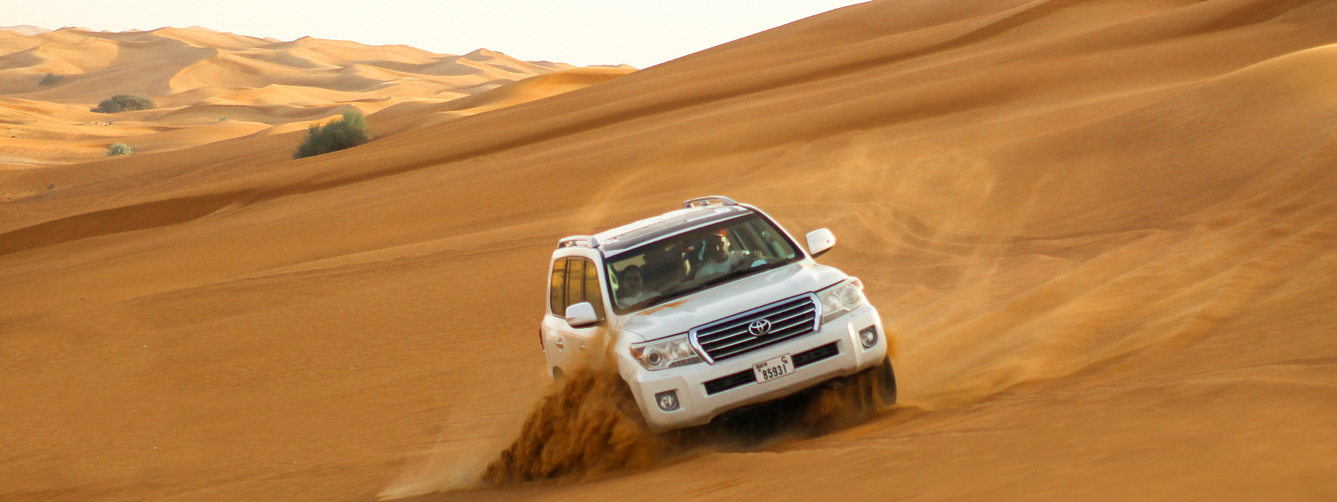 Morning Desert Safari