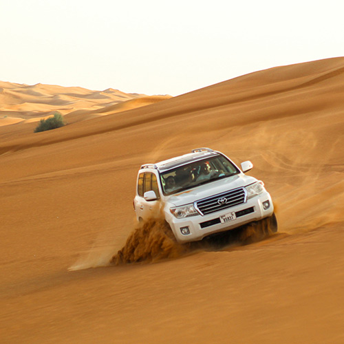 Morning Desert Safari