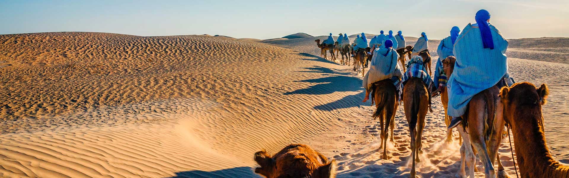 Desert safari in Dubai | VIP Desert Safari